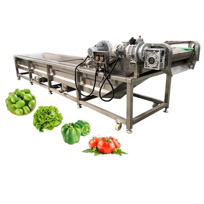 Multi-functional Bubble Vegetable Cleaning Machine for Industry Capacity 2000kg/h 9.4kw