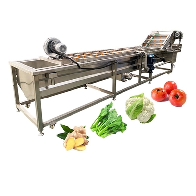Double Tank Bubble Ozone Vegetable Mesh Chain Washing Machine for Machinery Repair Shops