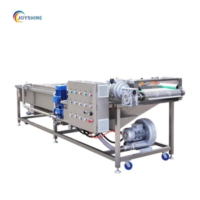 9.4kw 220v 380v Potato Vegetable Coriander Bubble Washer Machine 2000kg/H