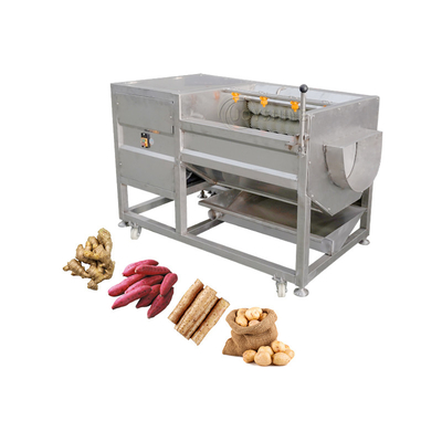 Joyshine Ginger and Potato Cassava Carrot Peeler Automatic Carrot Peeling Machine