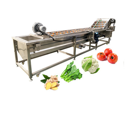 Tomato Fruit Washing Machine with Lifting Function by Joyshine Ce Fully Automatic