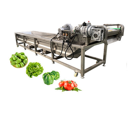 Tomato Fruit Washing Machine with Lifting Function by Joyshine Ce Fully Automatic