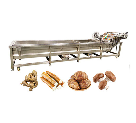Tomato Fruit Washing Machine with Lifting Function by Joyshine Ce Fully Automatic