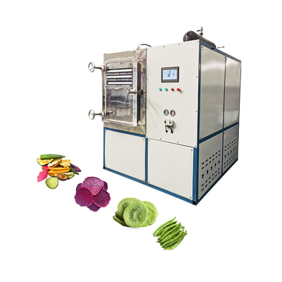 Electric Heating Drying Oven For Vegetable And Fruit Home Freeze Drying