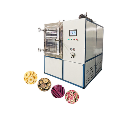 Electric Heating Drying Oven For Vegetable And Fruit Home Freeze Drying