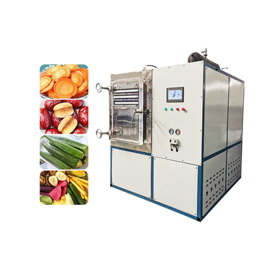 Electric Heating Drying Oven For Vegetable And Fruit Home Freeze Drying