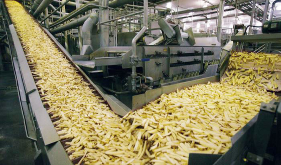High-Efficiency Fully Automatic French Fries Production Line | Customizable Potato Chips Processing Equipment | Ideal for Food Processing Plants