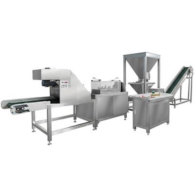 Suitable for Large Scale Production Fried Snack Production Line 100kg Per Hour Capacity